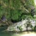 Parete rocciosa ricoperta di muschio a Sa Stiddiosa con acqua che gocciola